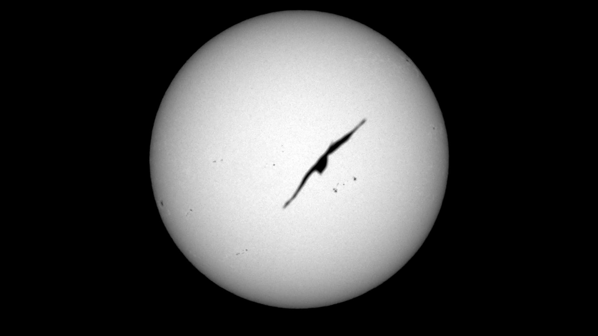 sturmvogel-tags-ber-spektrum-der-wissenschaft
